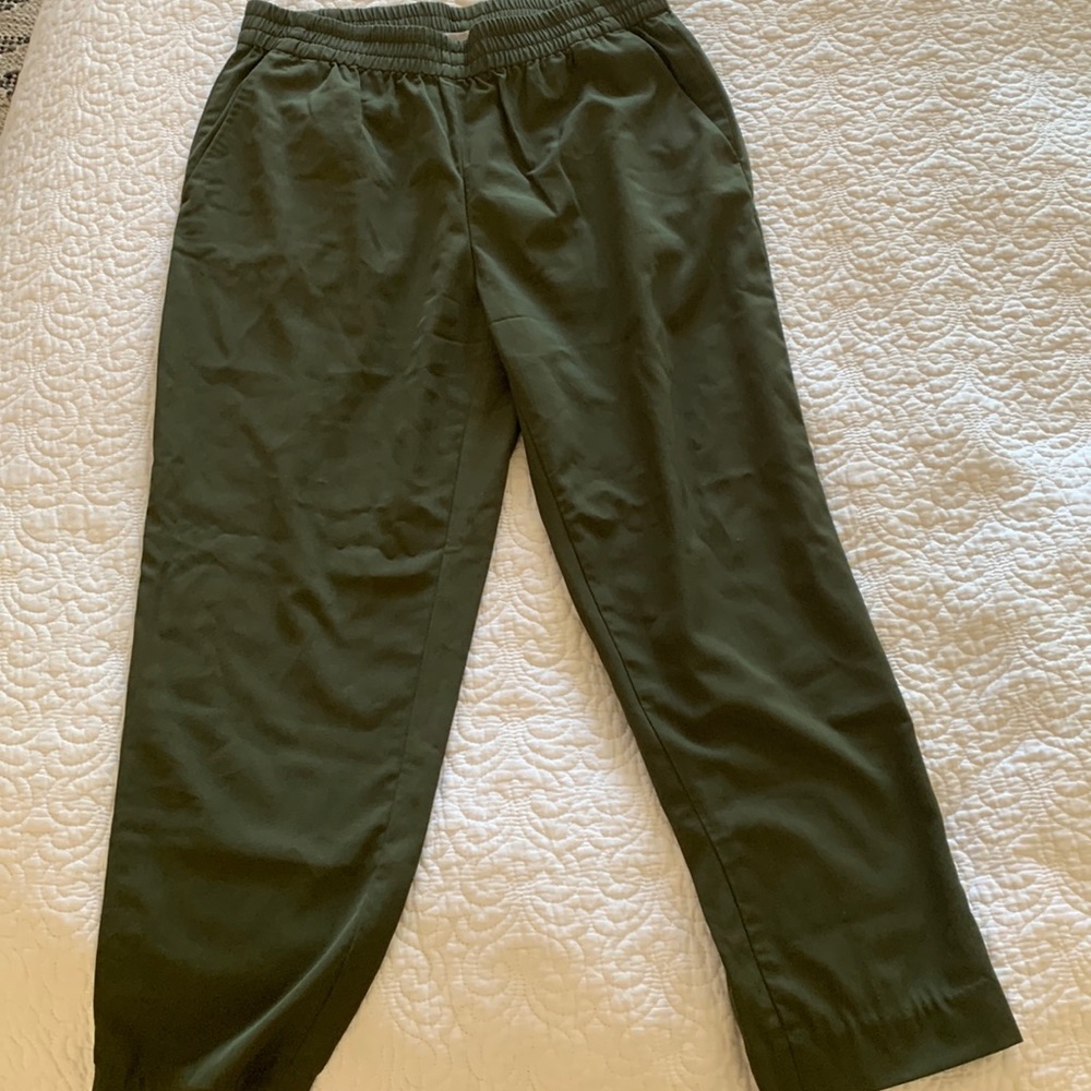 Everlane The Italian GoWeave Easy Pant in Surplus
